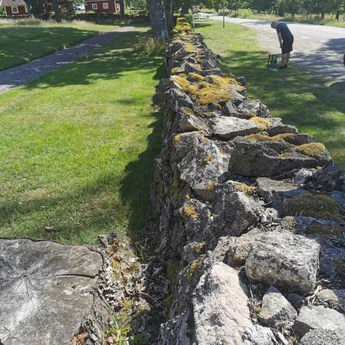 Vi renoverar kulturhistorisk bruks- och kallmur - Galleribild 34